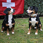 Mette & Brady